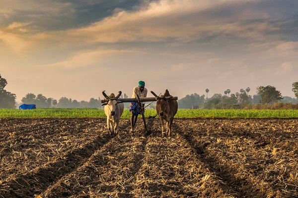 Crop Production Certification